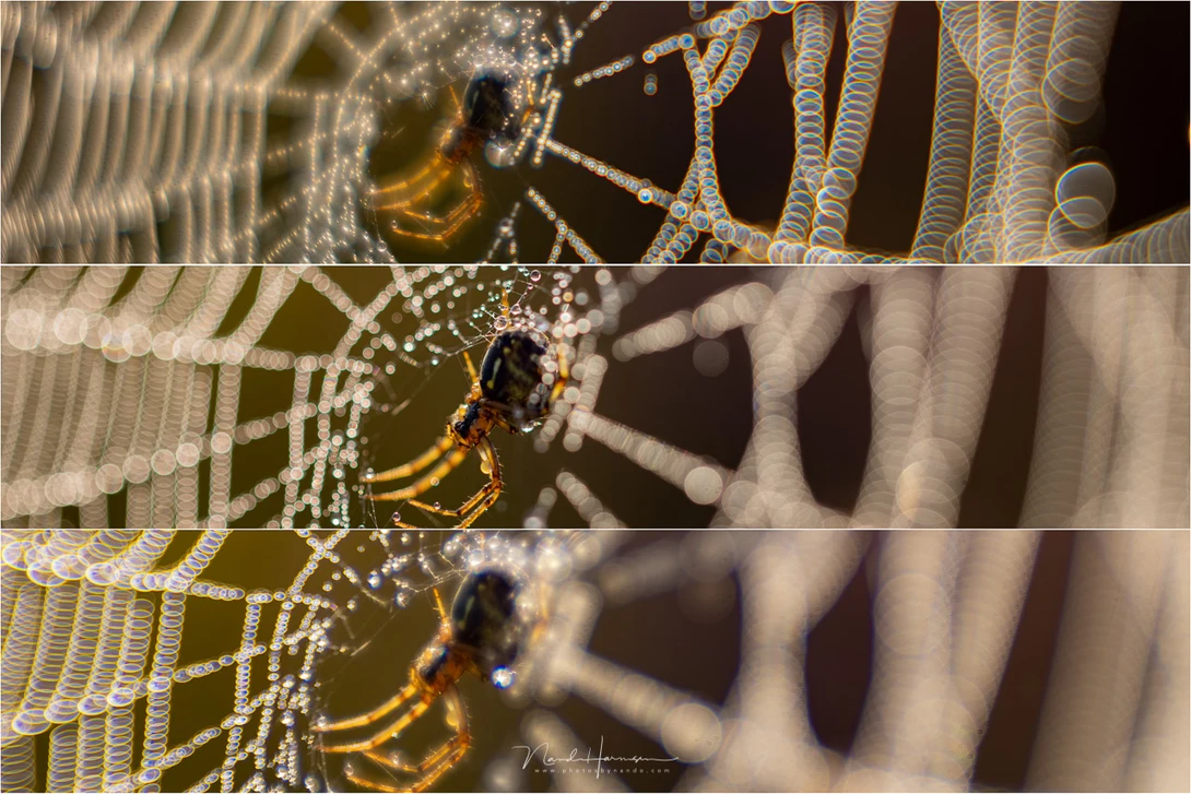 See how the sharpness is reduced with a negative SA (top) and a positive SA (bottom. The middle is the neutral setting.