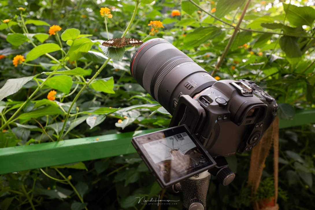 Shooting macro with an 1.4 times magnification. The result is visible in the gallery.