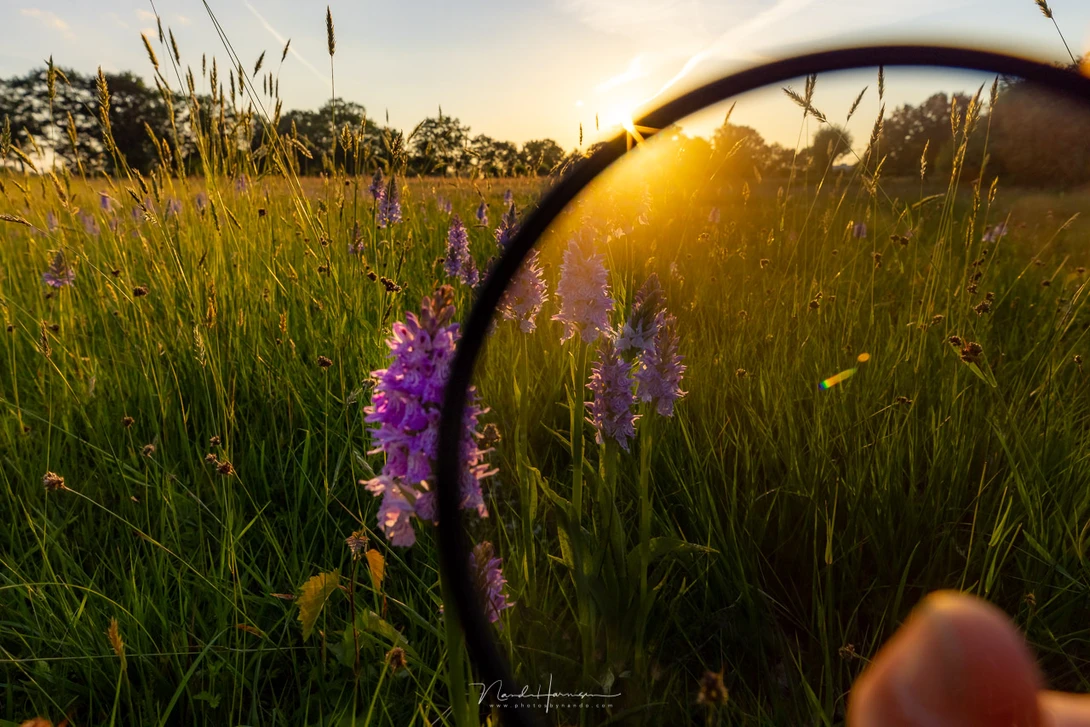 The effect of the Haida NanoPro Mist Black 1/4 Filter held in front of the lens. It shows how the light is softened.