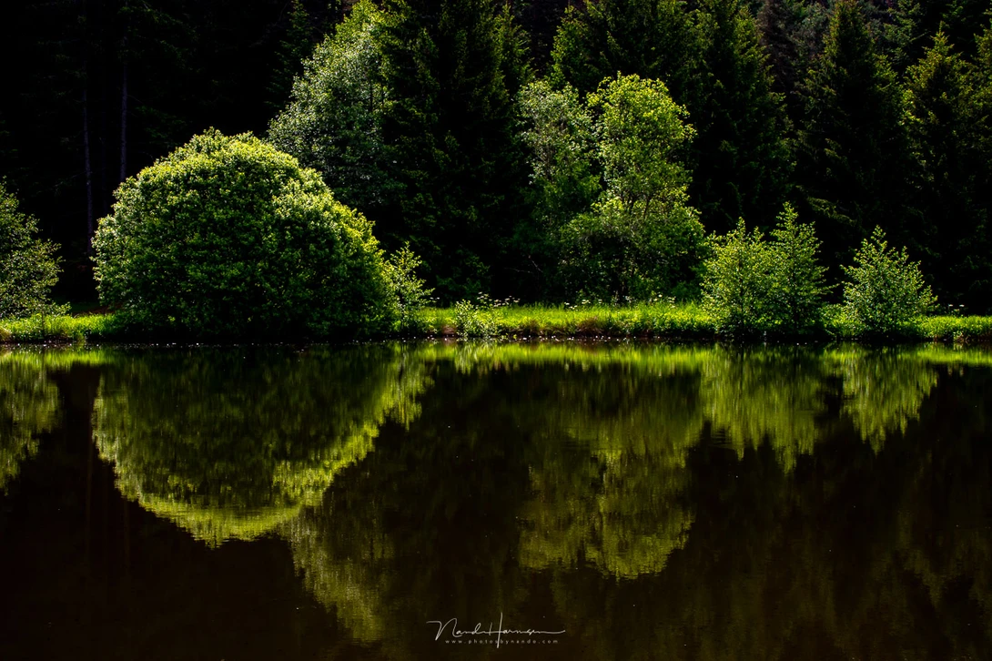 A landscape during high noon. The light is comming from behind, producing a nice rimlight. Would you prefer to see the details in the darkest parts?