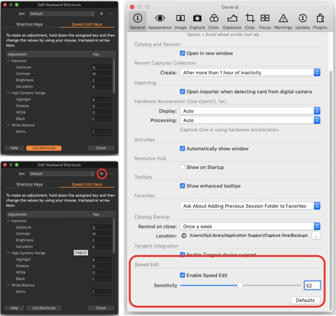 Screenshot of software preferences panels showing display settings, processing options, and an enabled graduated exposure filter with sensitivity slider.