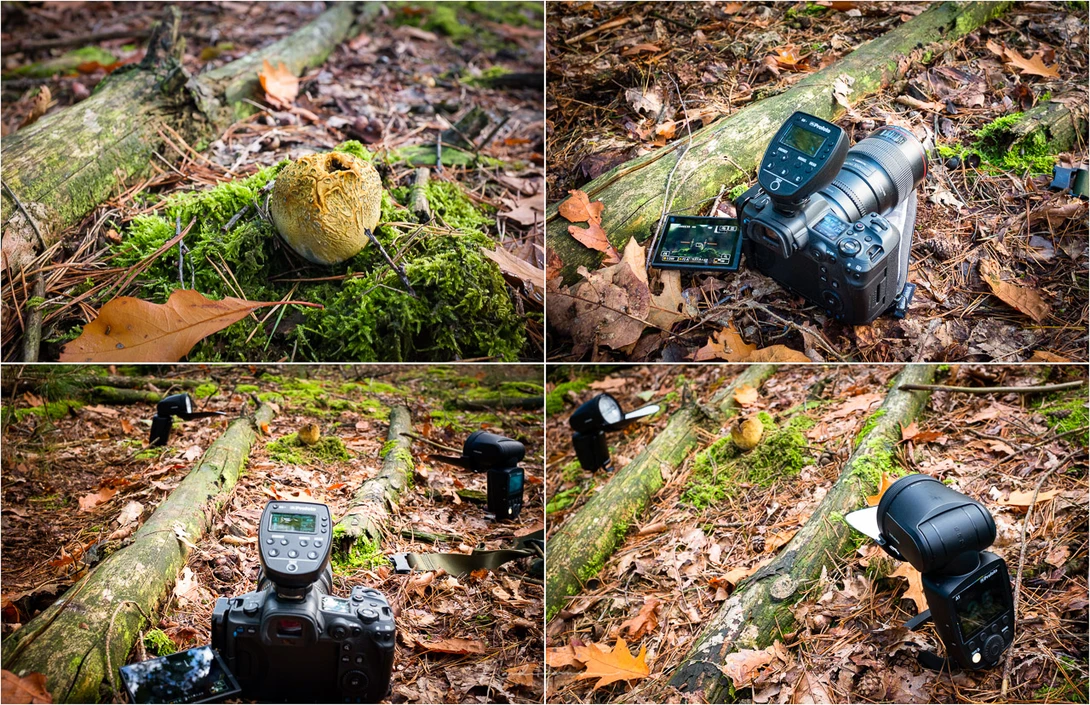 Four-panel comparison showing DSLR camera and light meter positioned on forest floor moss and leaves.