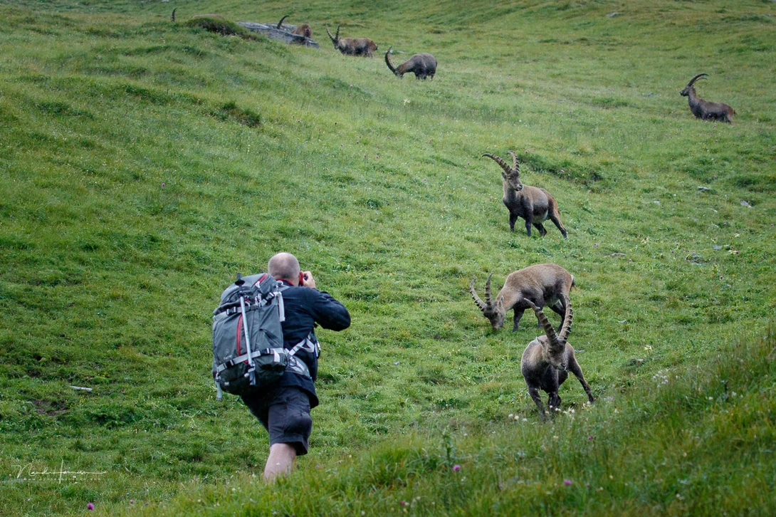 A large backpack holds a lot of equipment, and even spare clothing, lunch, and hiking sticks if necessary.