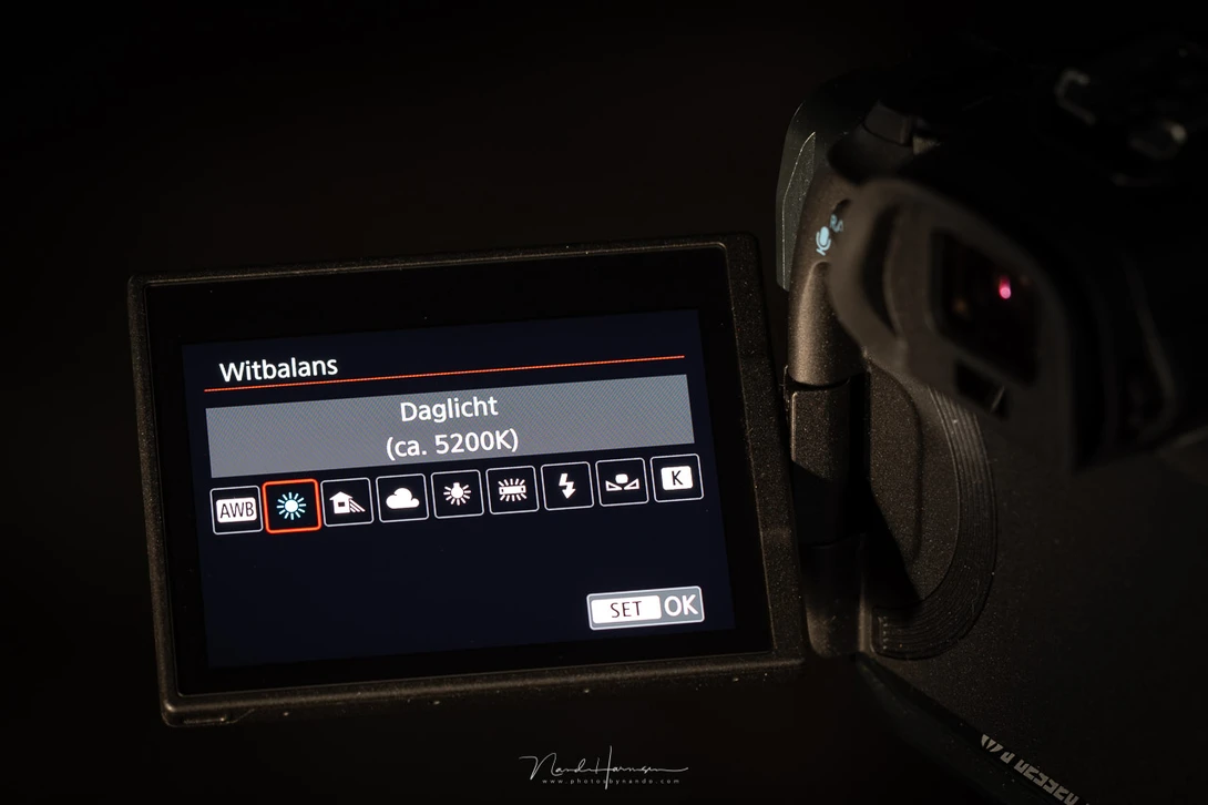 The white balance menu on a Canon camera. In this example it is set to daylight.&nbsp;
