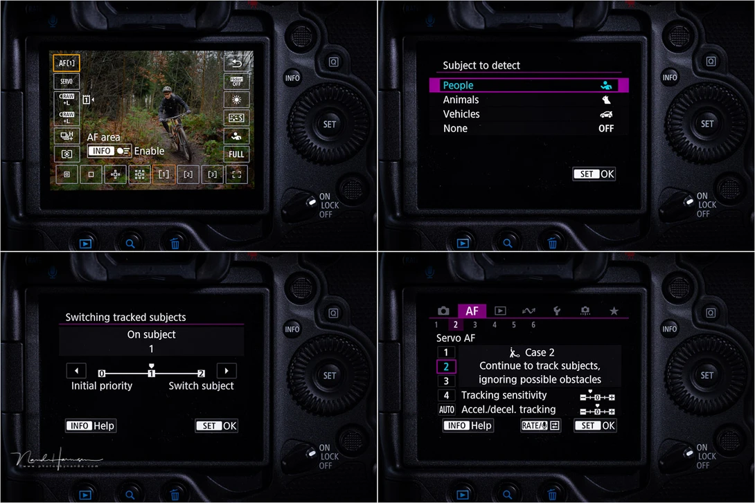 Some of the AF functions that can be found in&nbsp;the Canon EOS R3 menu.