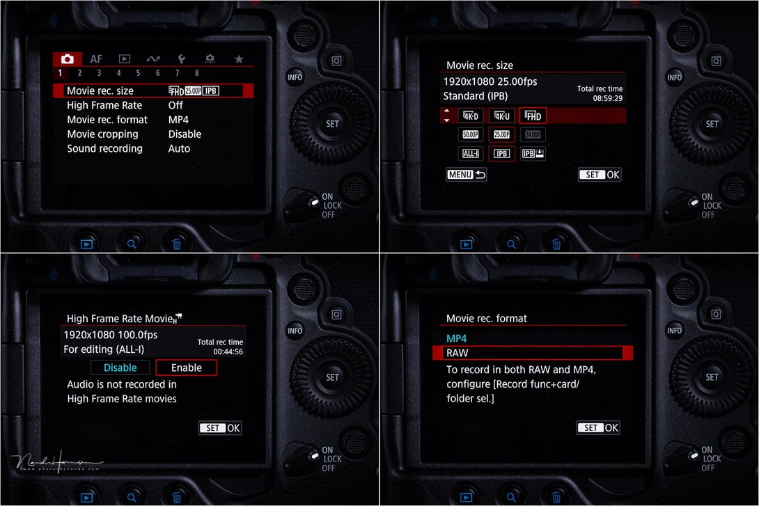 Some of the film settings that can be found in the menu of the Canon EOS R3.