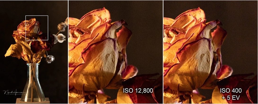 A simple studio test with a high ISO and an ISO 400 image with 5 stops under exposure, corrected in Lightroom Classic.&nbsp;