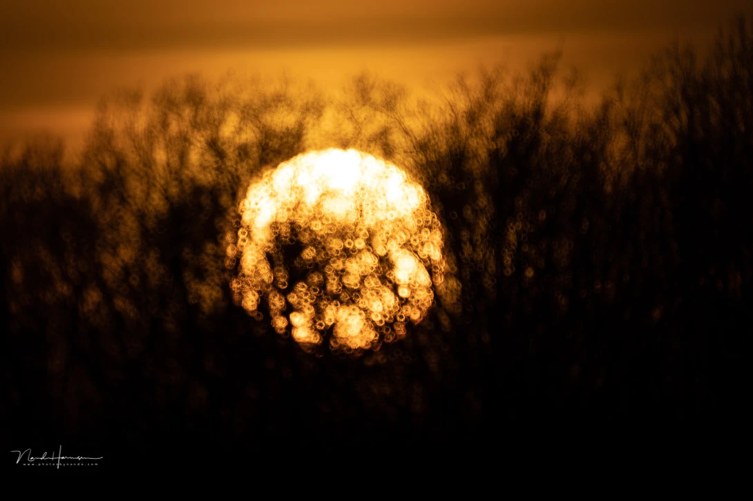 A mirror lens has a small mirror in the center of the lens, producing the characteristic donut shape of the out of focus light points. This image is taken with an old&nbsp;Russian MTO 1000A mirrorlens