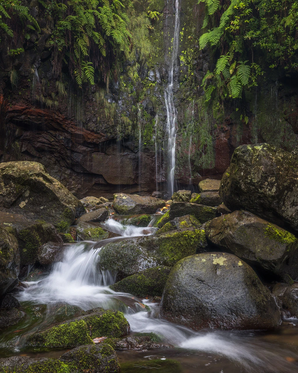 Small Creek and Waterfall in the Green Jungle of Madeira