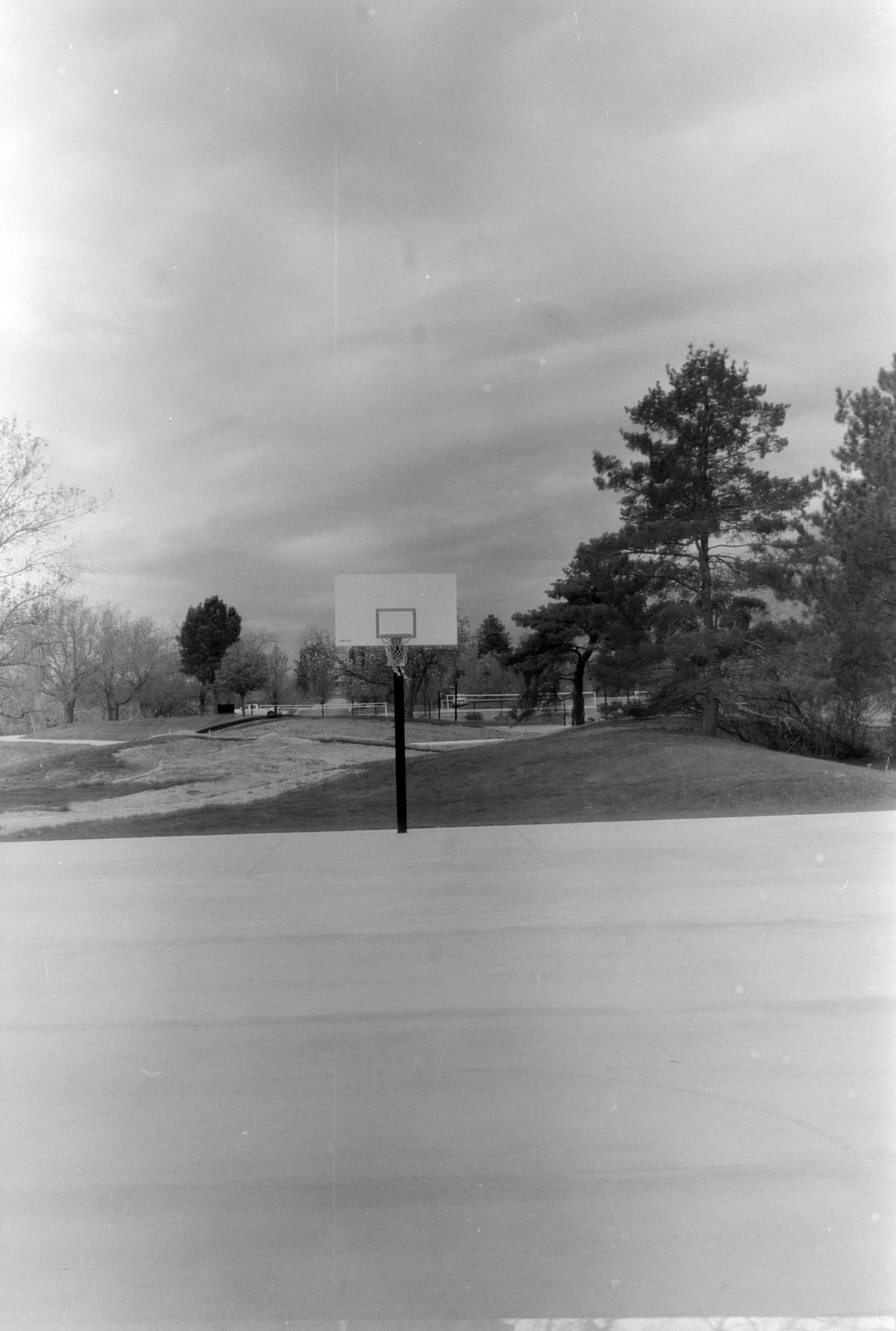 Kodak TMax 100 @ 50 ISO | D-76 Stock for 5:00 | Rollei 35