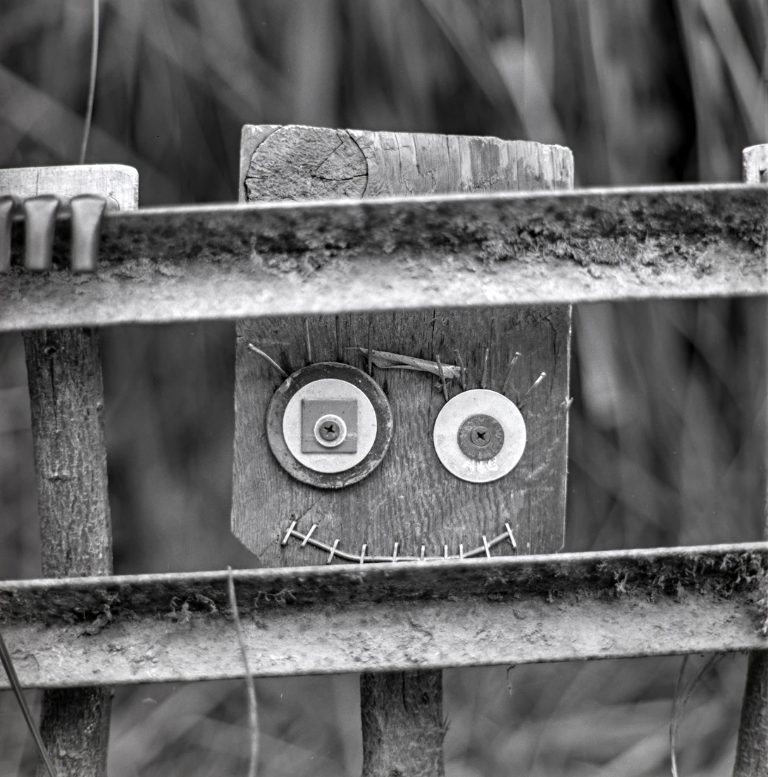 Kodak TMax 100 in TMax Developer 1+9