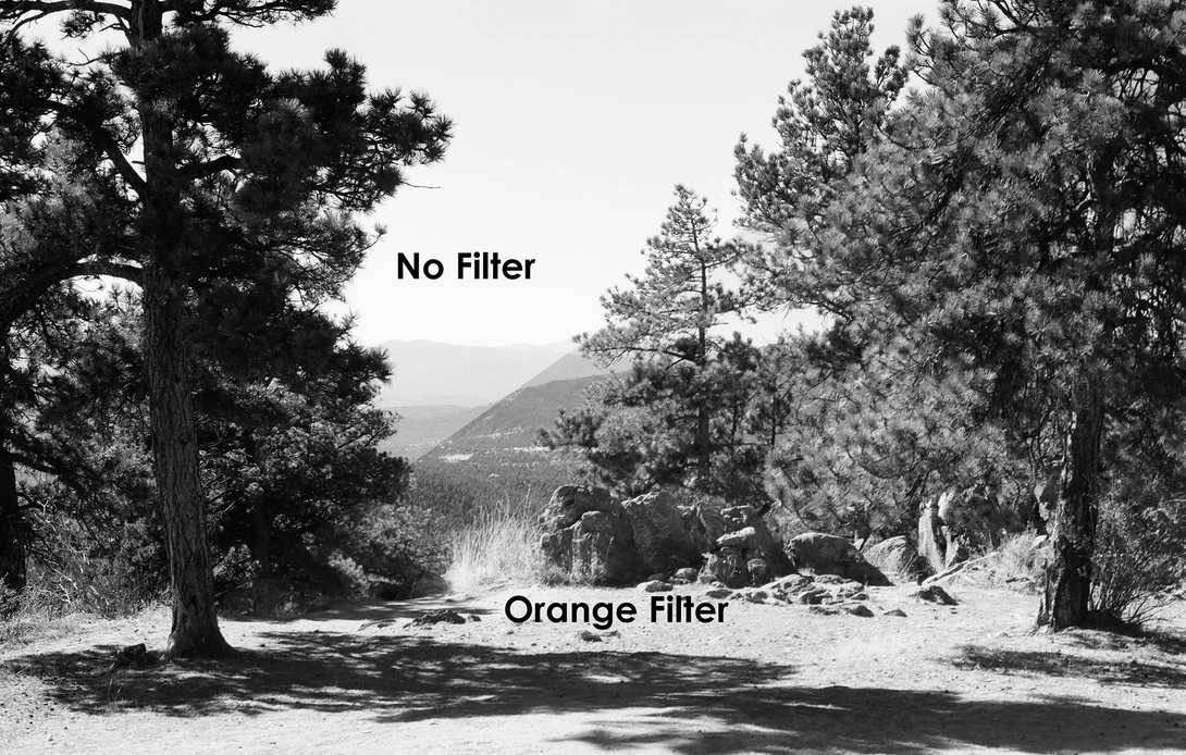 Orange filter vs. no filter&nbsp;with Kodak TMax 100