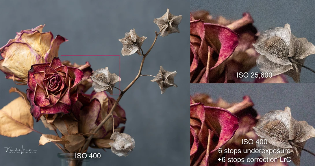Noise levels are well controlled when correcting underexposure is. This example shows how the noise level of a ISO 25.600 image is similar to a ISO 400 that got a 6 stop correction.