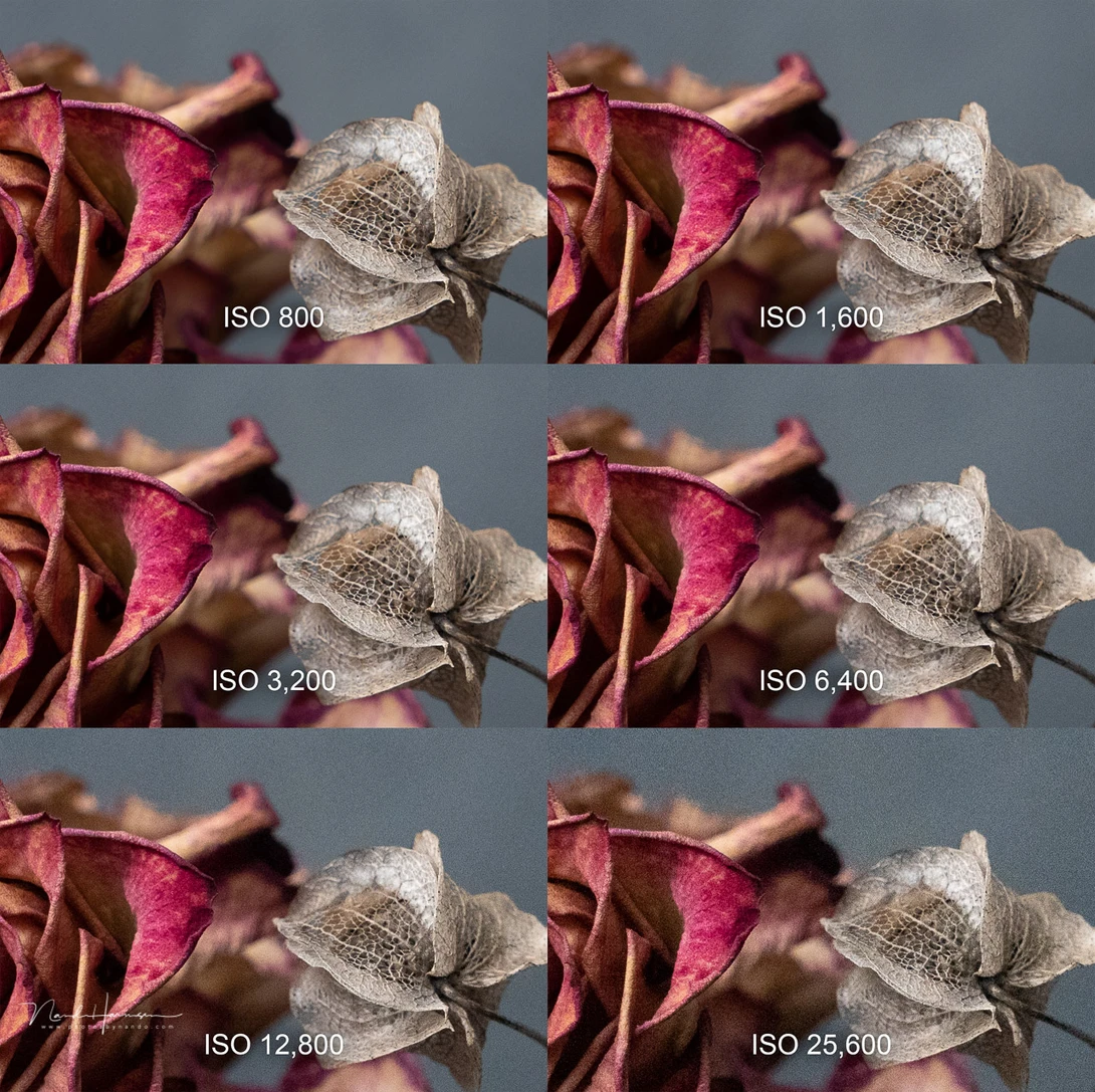 The ISO performance of the Sony A7 IV.