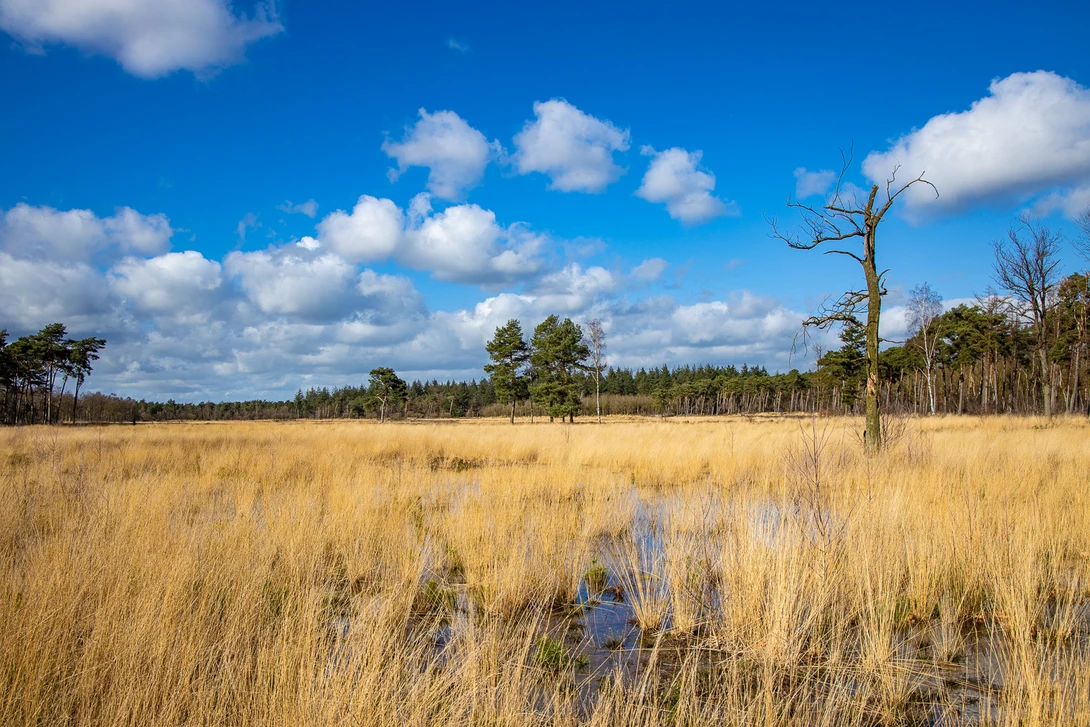 Just a landscape with some nice elements. What would you do to take a great photo? Where to stand, which focal length? What elements should you show, and which not?