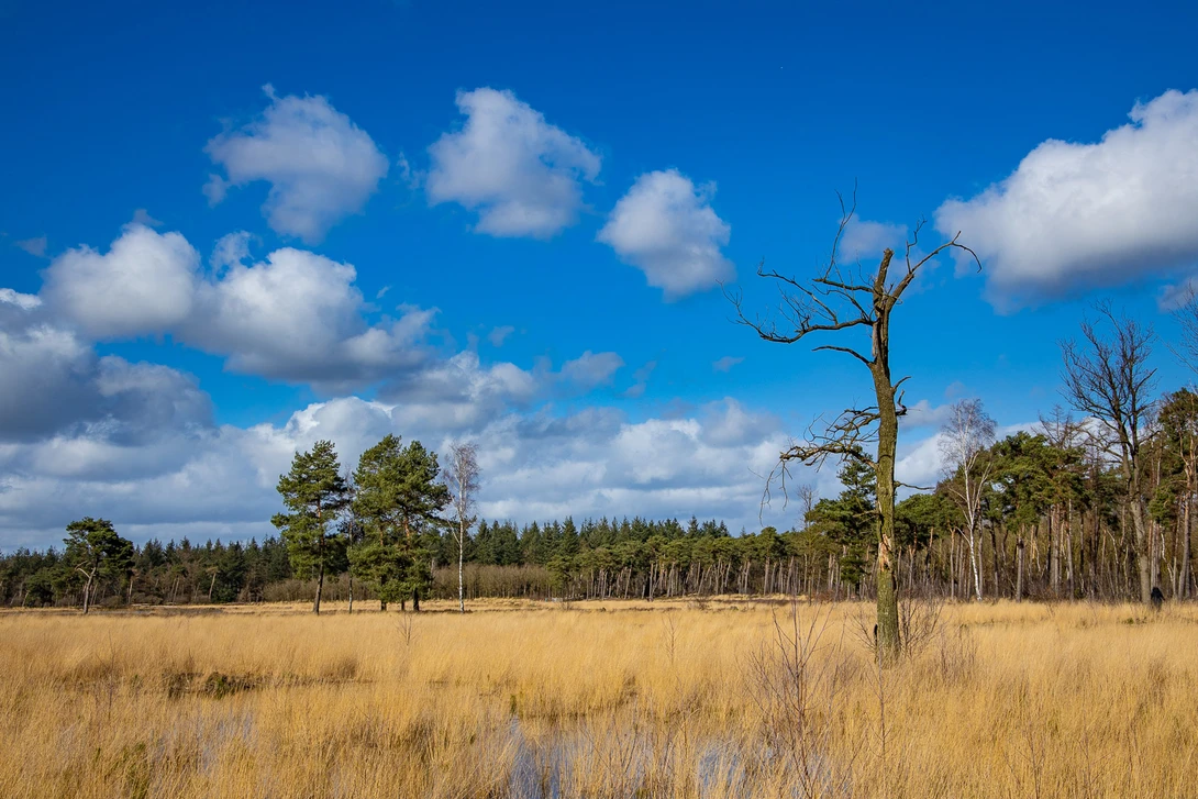 A longer focal length allows you to loose the elements that will distract. But there is still&nbsp; room for improvement.