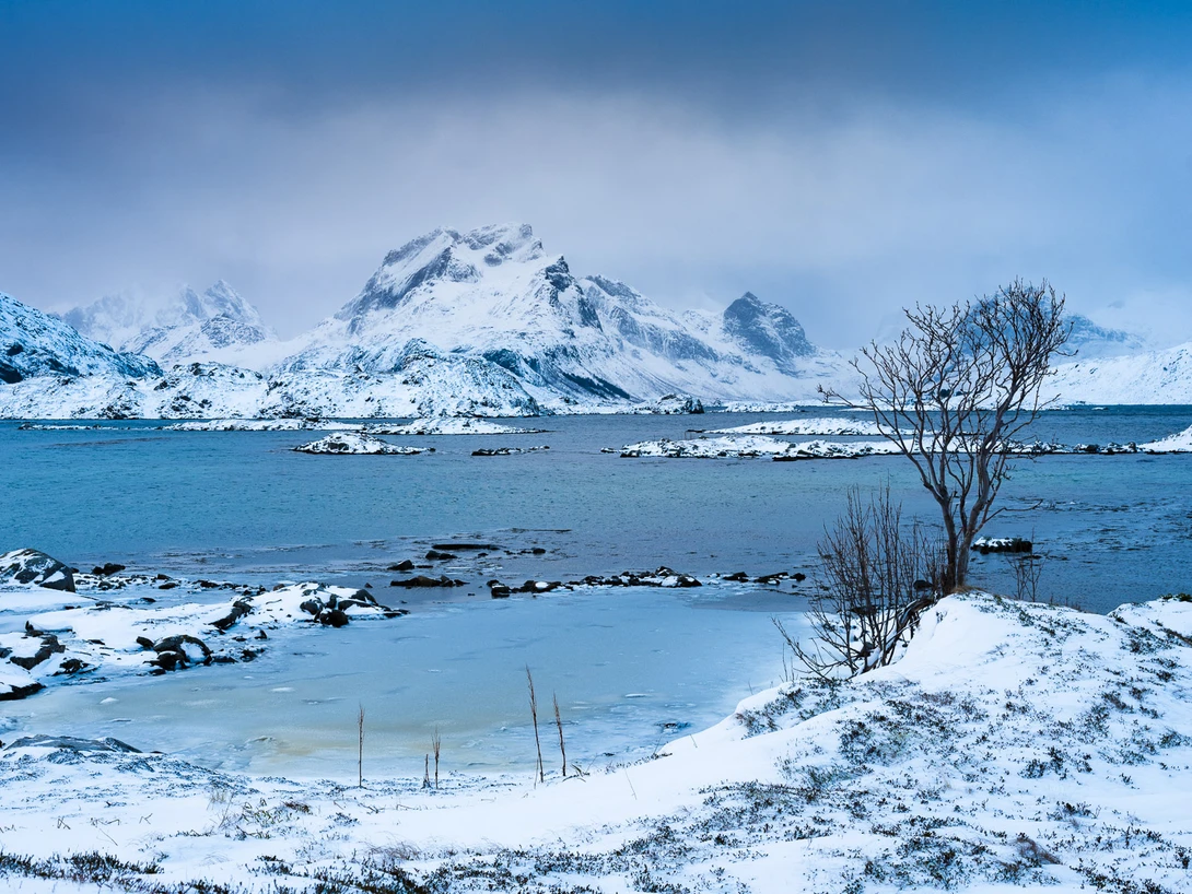 A nice scenery at Lofoten, Norway. It shows nice leading lines. But there is a problem. the background mountains obscure the view on the tree.