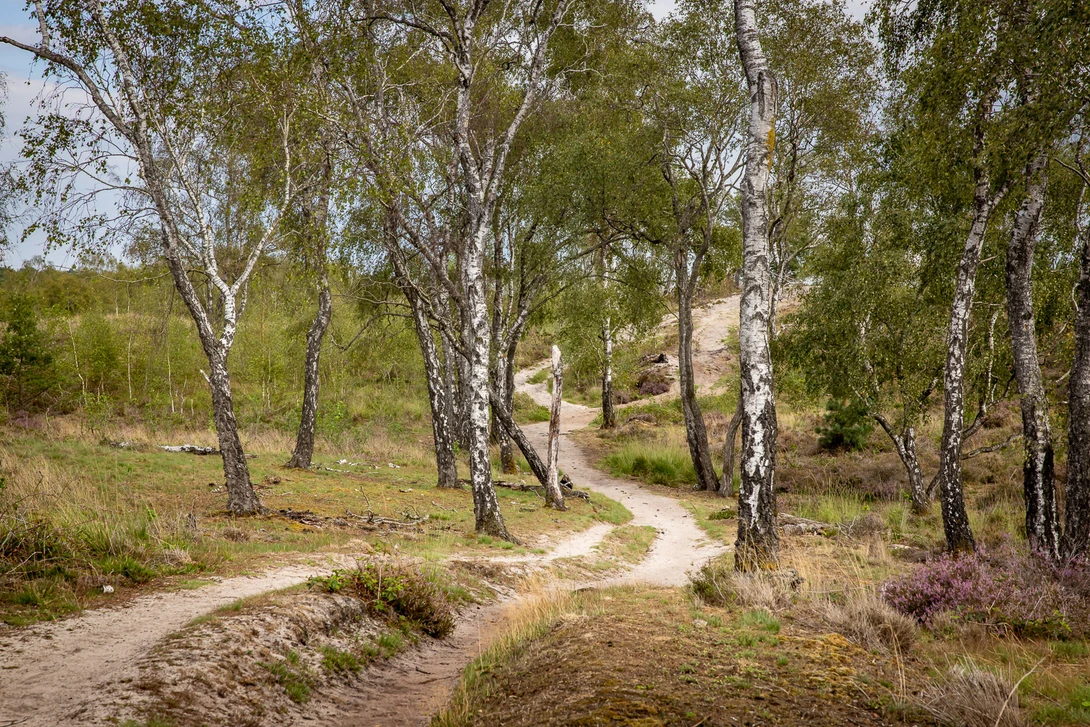Getting closer and using a longer focal length makes the image much more attractive, with great leading lines. But wait, perhaps there is an even better image possible.