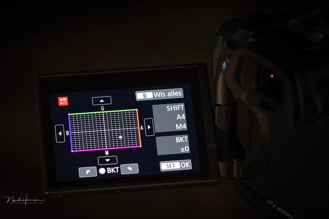 On Canon it's possible to fine tune the white balance settings. Perhaps other cameras offer a similar method of customization.