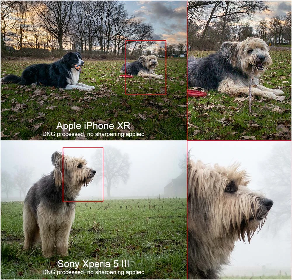 Although there are difference in shooting conditions, the difference between a processed DNG is striking. I would have expected the Sony Xperia 5 III to outperform the 4 year older iPhone XR.