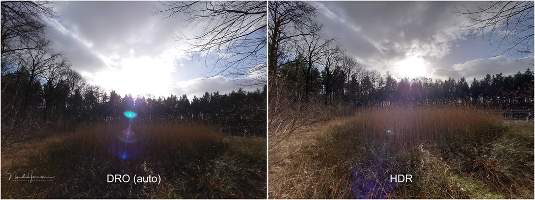 The difference between DRO (auto) setting and HDR setting. Both are shot in jpeg.