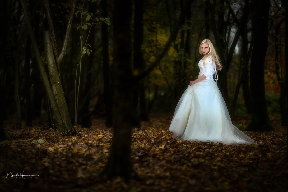 Even during a sunny day, it becomes possible to imitate a dark forest. Just use flash to get the correct exposure on your subject.