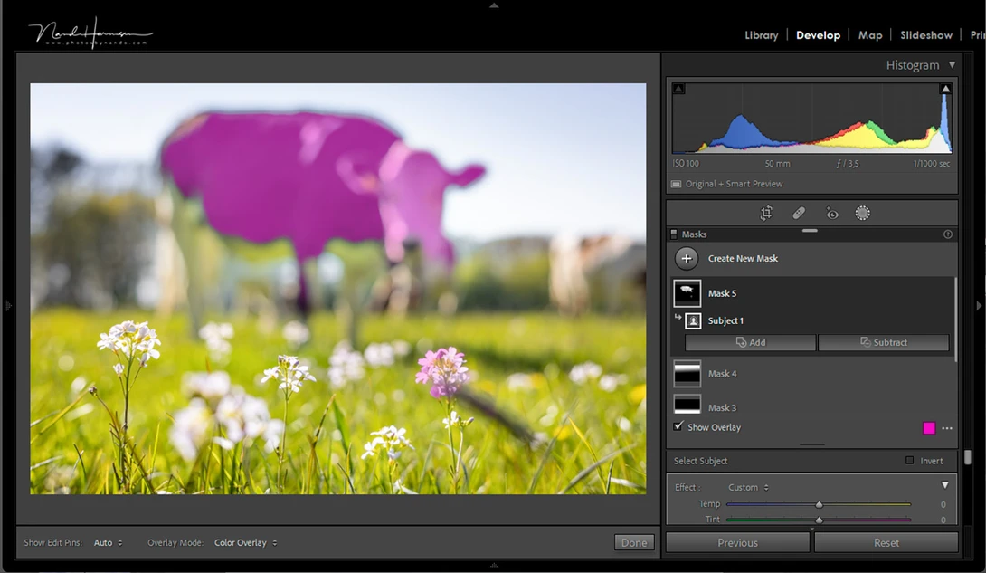 Both the flowers and cow are asking for attention. Perhaps the shallow depth of field is not enough to focus enough attention on the flower. This is what Lightroom thinks, you don't have to agree, of course.