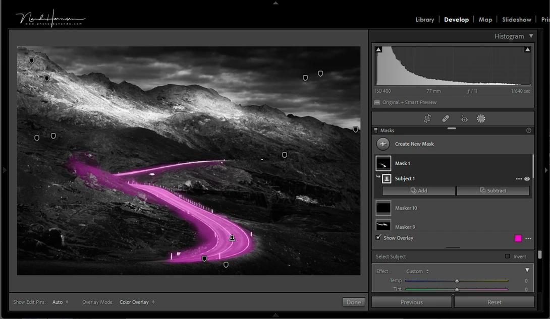 Lightroom has made the correct choice. The road is definately the subject in this landscape. The method is a nice way to check if the subject is getting enough attention.&nbsp;
