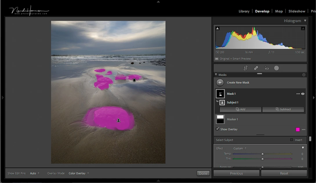 A group of elements is selected. This is the subject according to Lightroom. You might ask yourself, is this group of elements a subject or not? Is the relative distance enough to stand out as a group, or do these act as unrelated elements in the frame?