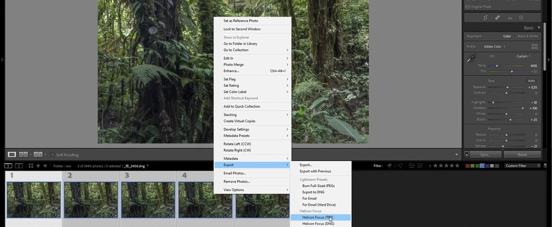 Screenshot of Helicon Focus Export in Lightroom