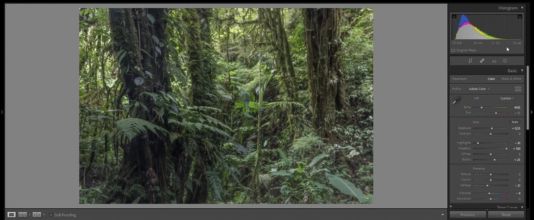 Screenshot of Lightroom Settings