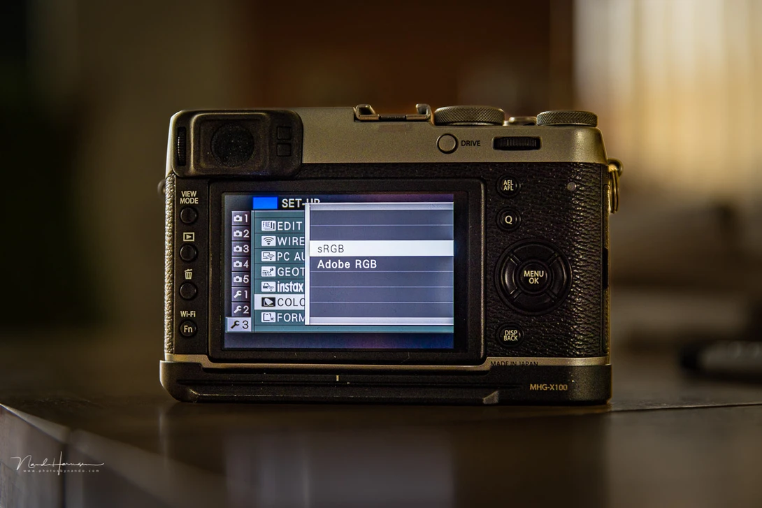 sRGB or Adobe RGB. Although the color space is different, it won't make a difference for the raw file. For jpeg photographers the sRGB is probably the better choice.