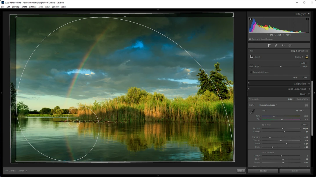 The golden circle, or Fibonacci spiral can be rotated to your liking by using [shift]-o in Windows.