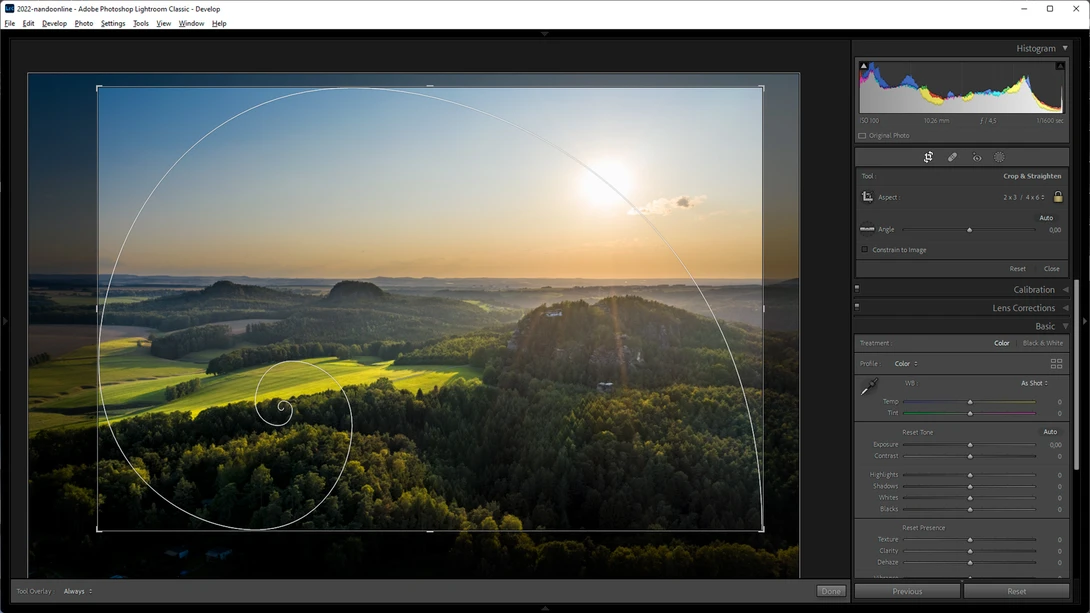 Crop the image with the composition guidelines which you prefer. It allows you to make the best possible crop.