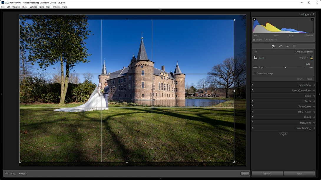 No matter what overlay you use, it will help you to fine tune the composition.