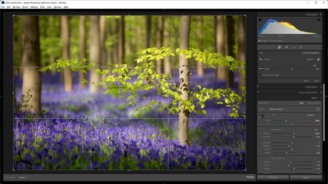 Looking at your older work can be very helpful learning why an image works or doesn't work. Perhaps a new crop improves the image. Perhaps not.