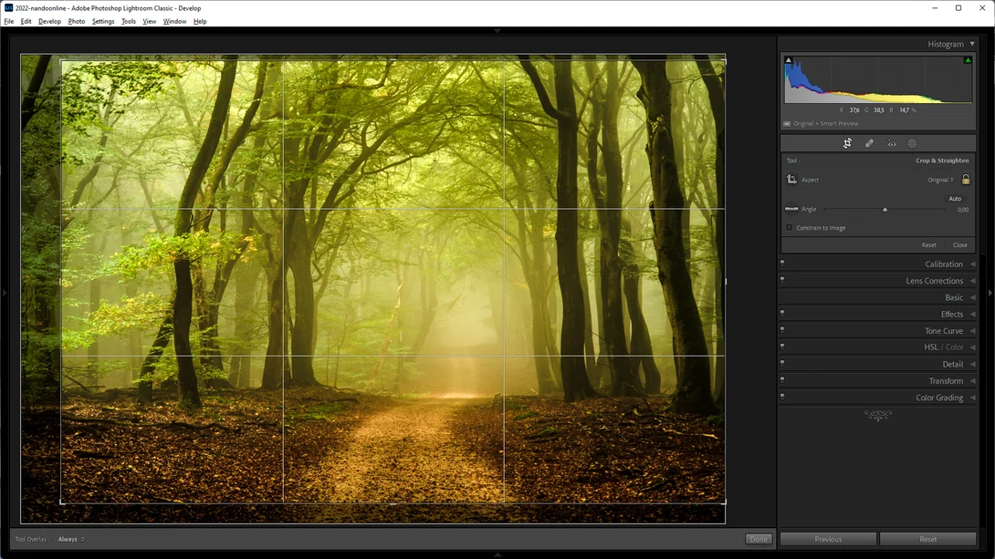 The rule of thirds is the most common guideline. It is often possible to show this one on the live view screen of the camera also. You can also use it to make the best possible crop.
