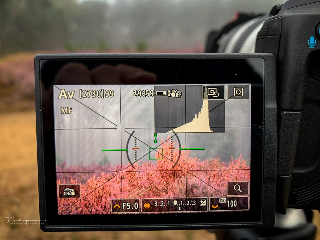 Activate the overlay on your LCD screen and EVF. These lines will help you when making a composition.