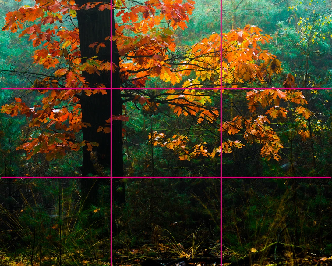 If an element is both on the vertical and horizontal 1/3 line, it could work like in this instance. But it in reality it's&nbsp;a L-composition, one of the nine basic shapes of composition theory.&nbsp;