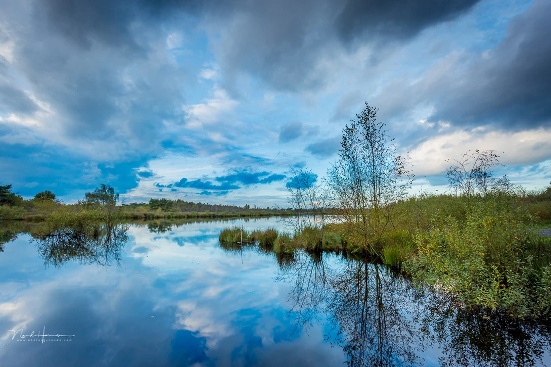 Landscapes can be beautiful during daylight also. Don't limit yourself to sunrise and sunset only.