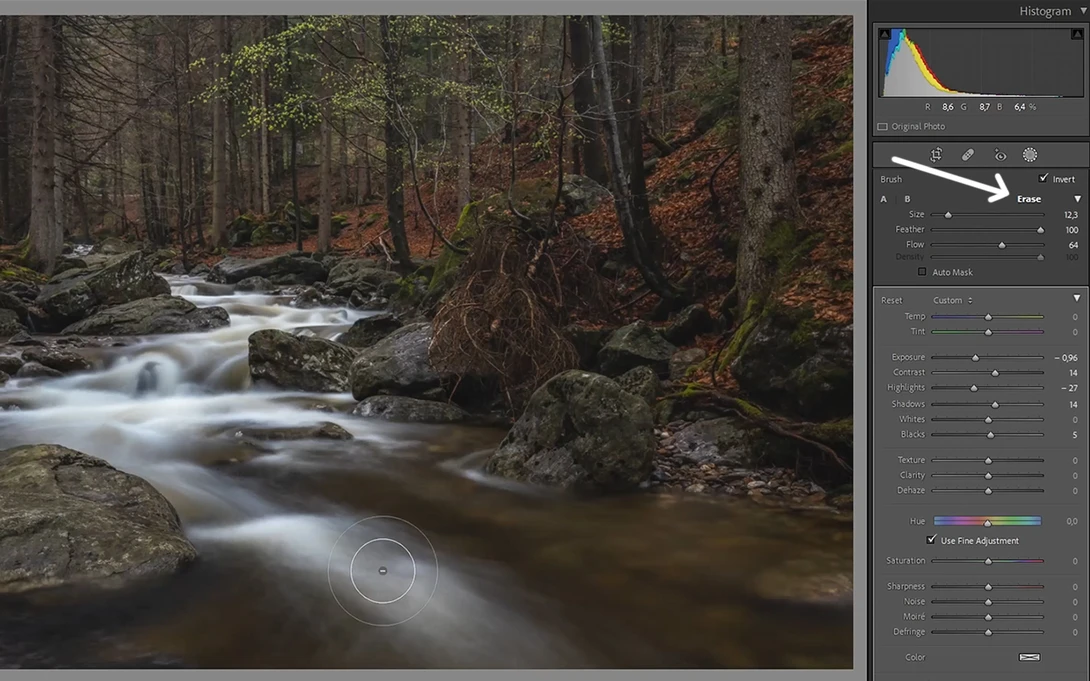 Lightroom Brush Erase