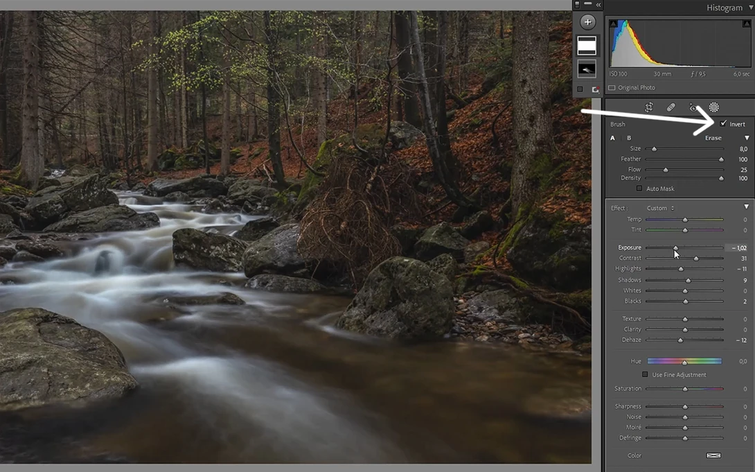 Lightroom Brush Trick Settings