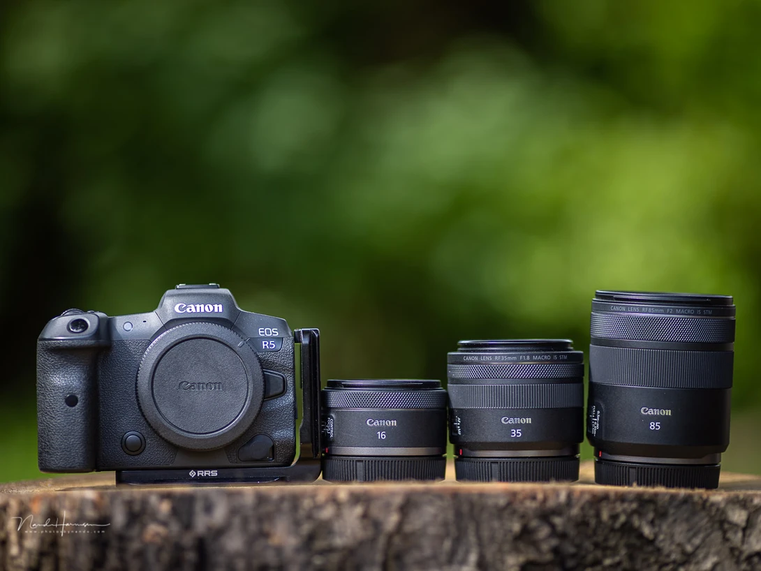 The RF 16mm f/2.8 STM, the RF 35mm f/1.8 IS STM macro, and the RF 85mm f/2 IS STM macro. Small, light weight, but fun to use.