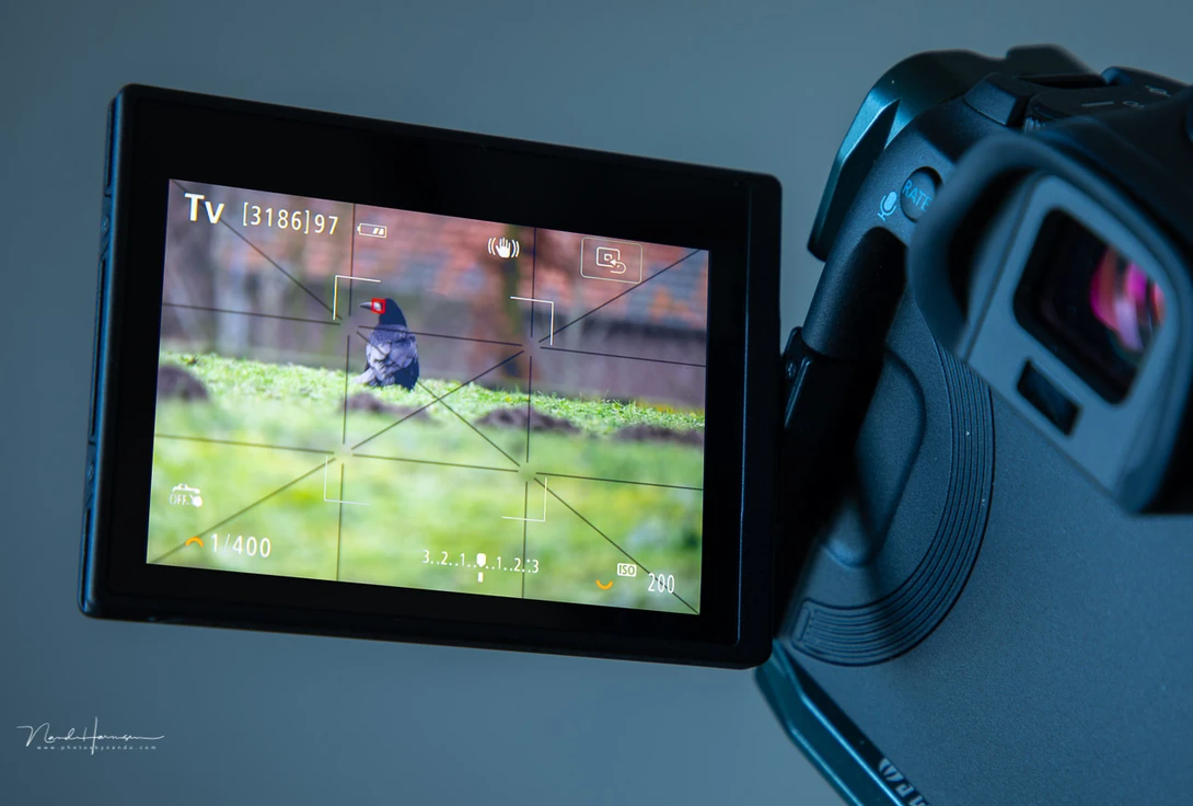 Using the eye-AF makes it possible to focus onto the eyes of animals and humans.&nbsp;