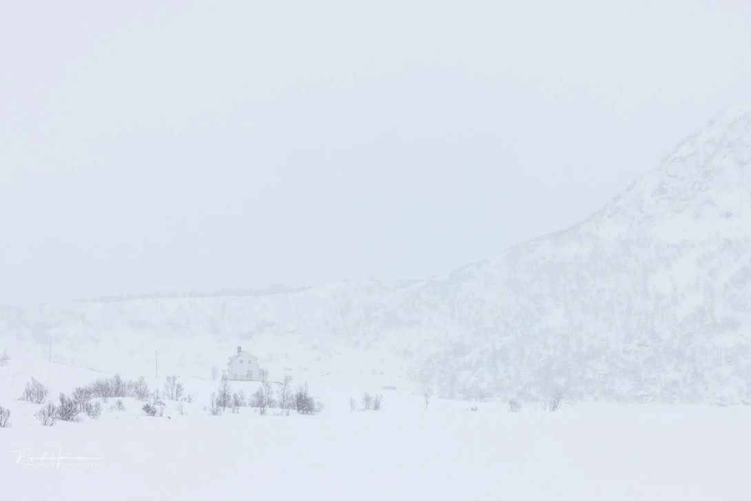 During a snow storm the visibility at Lofoten went down significant. The contrast dropped and getting a focus lock became difficult or even impossible.