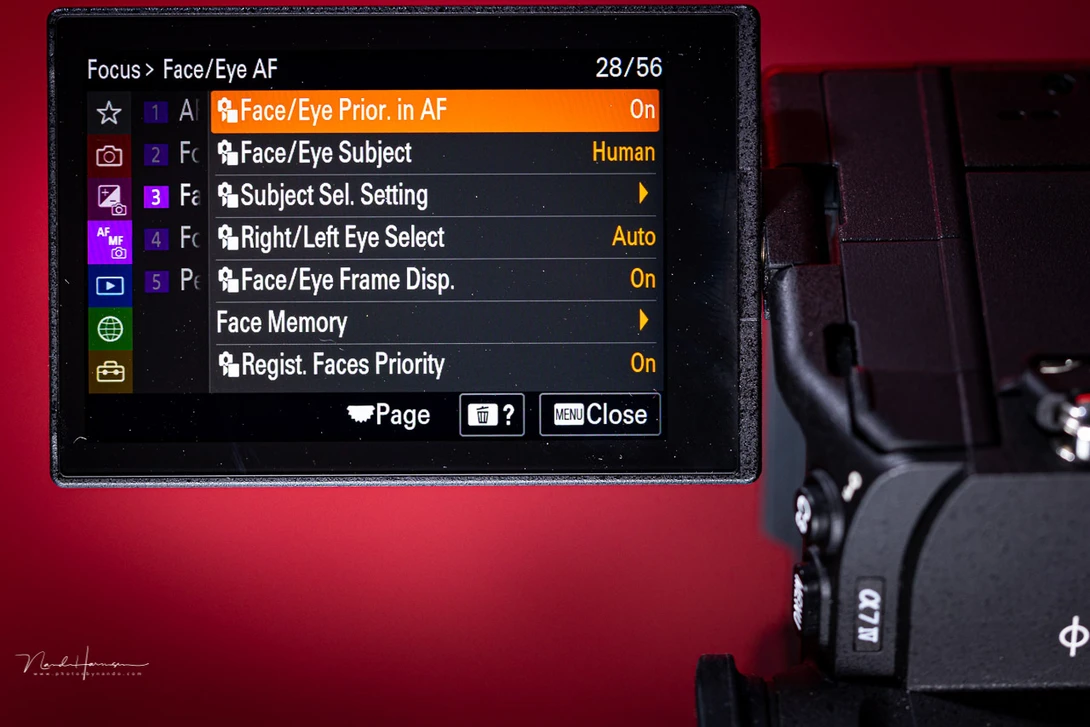 Some cameras offer a lot of focus options. You have to check your camera for the possibilities. A good setting may help you get a good and quick focus lock.