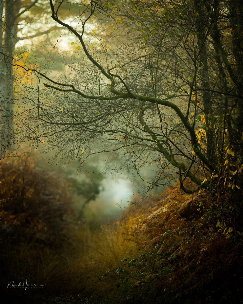Embrace a small depth of field with landscape photography. It's a wonderful tool for this kind of photography. You might be forced to do so if you're using telephoto lenses with the subject close by.