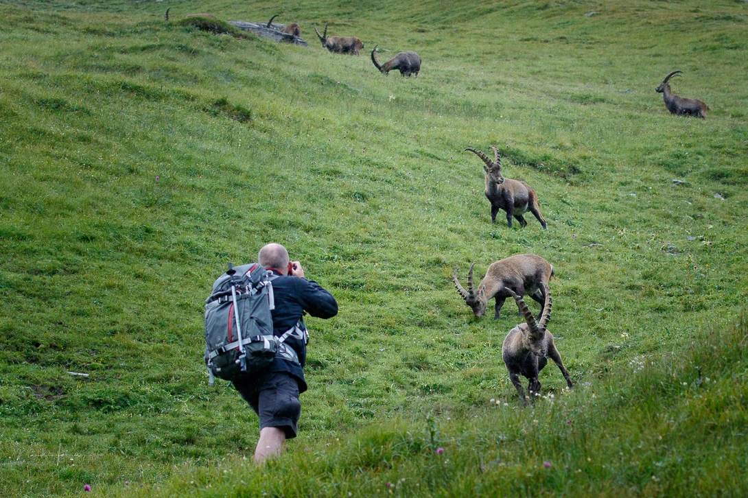 Using a backpack makes it easy to take a lot of equipment with you. (Photo by Hetwie, www.hetwie.nl)