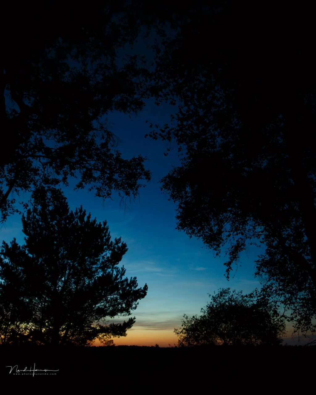 I loved the colors of the sky during this late evening twilight, but I didn't want too much of the dark blue sky. Looking through the trees offered a great window.