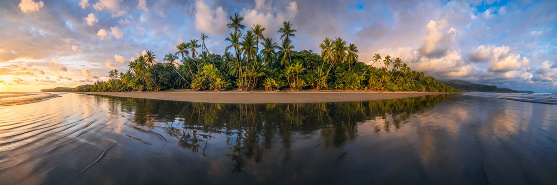 The Island